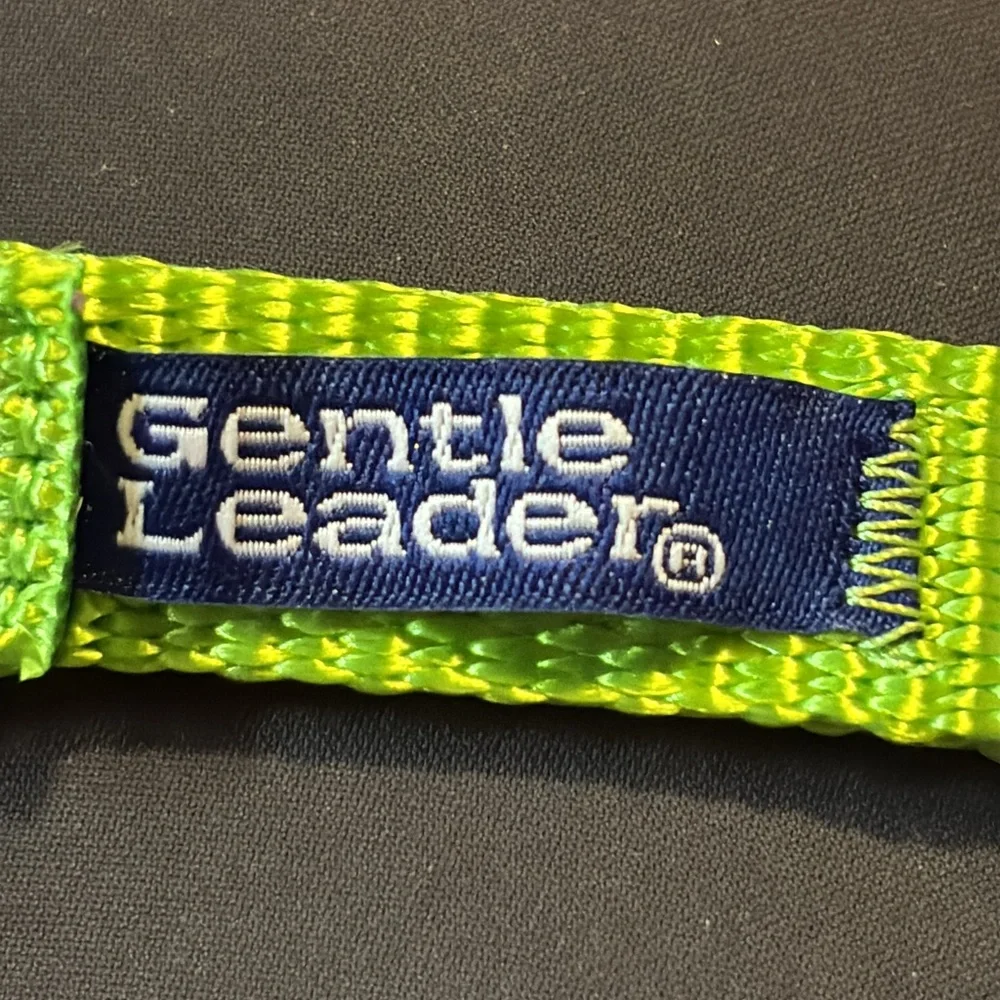 PetSafe Gentle Leader Headcollar - Vibrant Green